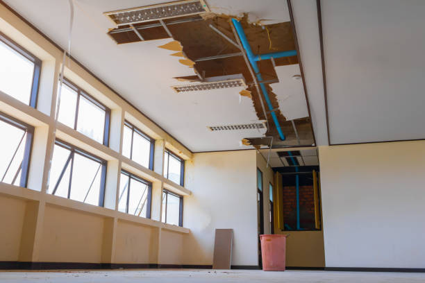 Best Local water damage restoration  in Green Valley, MD