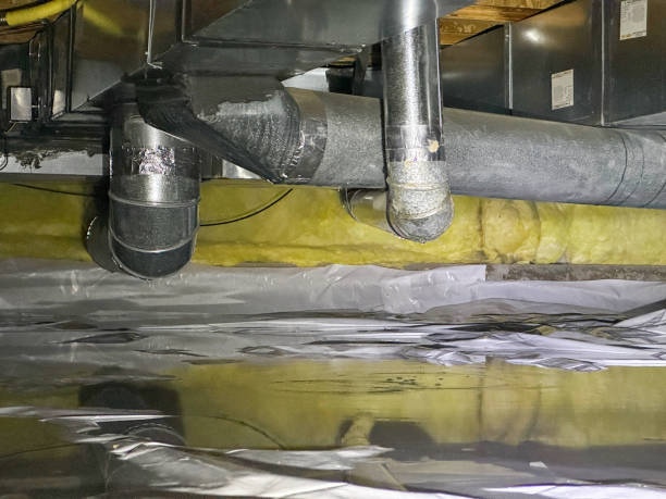 Best Water damage contractors near me  in Green Valley, MD